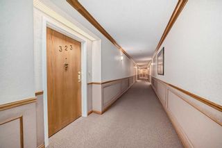 Photo 6: 323 8535 Bonaventure Drive SE in Calgary: Acadia Apartment for sale : MLS®# A2123382