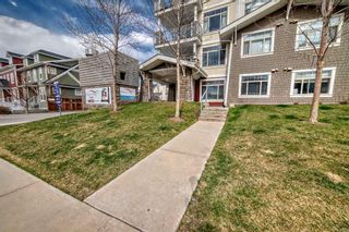 Photo 28: 109 10 Auburn Bay Link SE in Calgary: Auburn Bay Apartment for sale : MLS®# A2125387