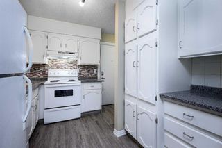 Photo 10: 202 611 67 Avenue SW in Calgary: Kingsland Apartment for sale : MLS®# A2129404