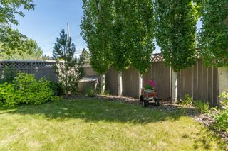 Photo 27: 16 WALNUT Drive SW in Calgary: Wildwood Detached for sale : MLS®# A1022816