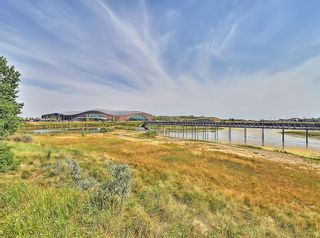 Photo 50: 250 Royal Birch Way NW in Calgary: Royal Oak Detached for sale : MLS®# A1254634