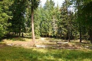 Photo 34: 11 6432 Sunnybrae Road in Tappen: Steamboat Shores Vacant Land for sale (Shuswap Lake)  : MLS®# 10155187