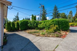 Photo 42: 689 S Alder St in Campbell River: CR Campbell River Central House for sale : MLS®# 938357