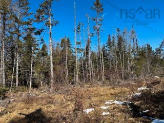 Photo 3: Lot R-8 Road in New Chester: 303-Guysborough County Vacant Land for sale (Highland Region)  : MLS®# 202405529