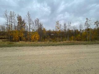 Photo 11: : Rural Ponoka County Residential Land for sale : MLS®# A2102821