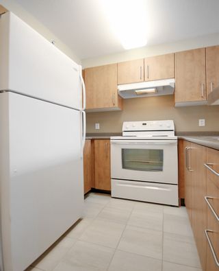 Photo 8: 313 5380 OBEN Street in Vancouver: Collingwood VE Condo for sale in "URBA by BOSA" (Vancouver East)  : MLS®# R2011349