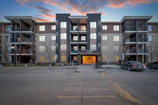 Photo 1: 214 7130 80 Avenue NE in Calgary: Saddle Ridge Apartment for sale : MLS®# A2094119