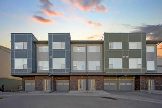 Main Photo: 202 70 Saddlestone Drive NE in Calgary: Saddle Ridge Row/Townhouse for sale : MLS®# A2123736