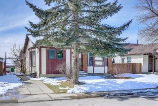 Photo 46: 4531 43 Street NE in Calgary: Whitehorn Detached for sale : MLS®# A1209196