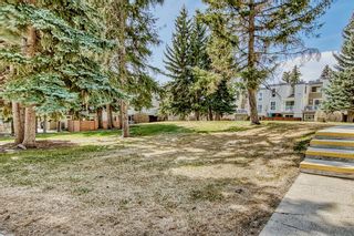 Photo 32: 302 13104 Elbow Drive SW in Calgary: Canyon Meadows Row/Townhouse for sale : MLS®# A2045252