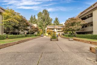 Photo 26: 210 1210 PACIFIC Street in Coquitlam: North Coquitlam Condo for sale in "Glenview Manor" : MLS®# R2779470