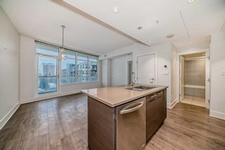 Photo 4: 508 38 9 Street NE in Calgary: Bridgeland/Riverside Apartment for sale : MLS®# A2120336
