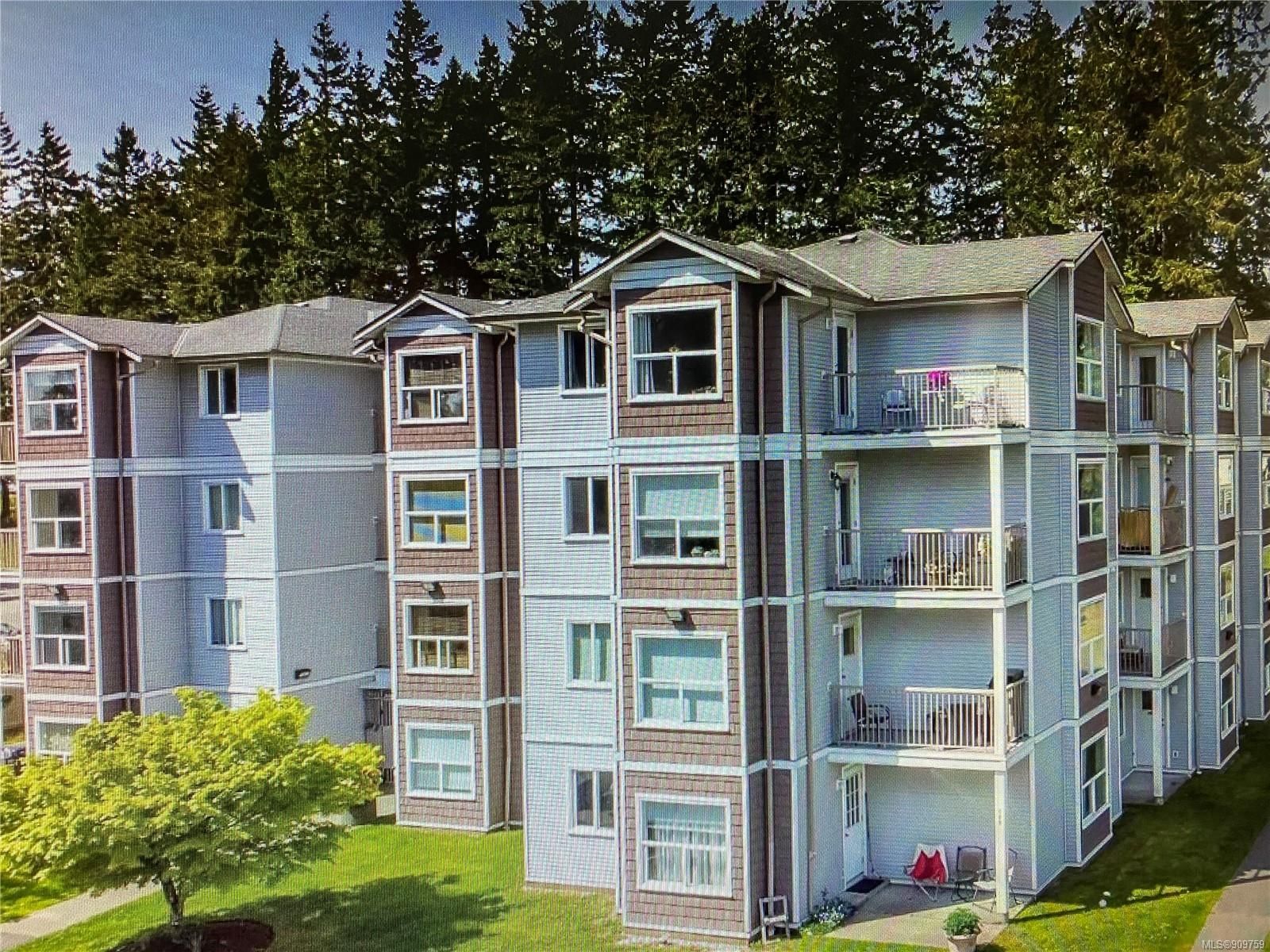 Main Photo: 405 282 S Birch St in Campbell River: CR Campbell River Central Condo for sale : MLS®# 909759