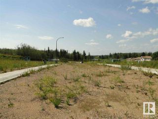 Photo 8: 12 Avenue & 16 Street: Cold Lake Vacant Lot/Land for sale : MLS®# E4317085