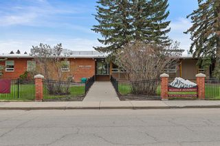 Photo 38: 2043 37 Avenue SW in Calgary: Altadore Detached for sale : MLS®# A2049857
