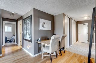 Photo 9: 9 1607 26 Avenue SW in Calgary: South Calgary Apartment for sale : MLS®# A2051928