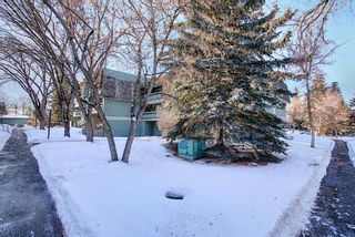 Photo 28: 4103, 315 Southampton Drive SW in Calgary: Southwood Apartment for sale : MLS®# A1072279