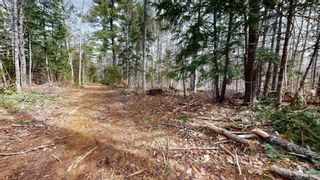 Photo 11: Lot Sarah Drive in Coldbrook: Kings County Vacant Land for sale (Annapolis Valley)  : MLS®# 202307154