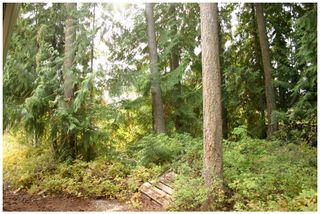 Photo 8: Lot 49 Forest Drive: Blind Bay Vacant Land for sale (Shuswap Lake)  : MLS®# 10217653