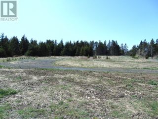 Photo 3: 0 Beeso's Road in Bell Island: Vacant Land for sale : MLS®# 1258500