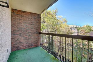 Photo 22: 305 220 26 Avenue SW in Calgary: Mission Apartment for sale : MLS®# A1037126