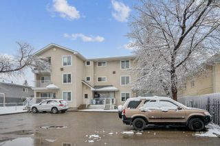 Photo 21: 301 4327 75 Street NW in Calgary: Bowness Apartment for sale : MLS®# A2124408