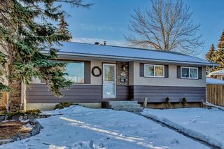 Photo 4: 819 Avonlea Place SE in Calgary: Acadia Detached for sale : MLS®# A2013147
