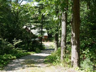 Photo 40: 1130 Towering Oaks  Tr in Kawartha Lakes: Norland Freehold for sale : MLS®# X5759389
