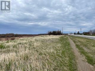 Photo 4: 104-106 Main Road in Point Au Mal: Vacant Land for sale : MLS®# 1250286