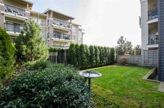 Photo 13: A107 8929 202 Street in Langley: Walnut Grove Condo for sale in "The "Grove"" : MLS®# R2142783