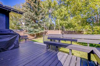 Photo 9: 511 Ranchridge Court NW in Calgary: Ranchlands Detached for sale : MLS®# A1258754