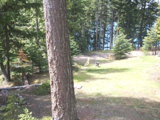 Photo 19: BLK A JOHNSON LAKE FORESTRY Road: Barriere Recreational for sale (North East)  : MLS®# 140377