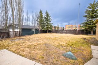 Photo 5: 243 Castlebrook Road NE in Calgary: Castleridge Detached for sale : MLS®# A1246240