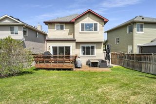 Photo 47: 98 Chapman Close SE in Calgary: Chaparral Detached for sale : MLS®# A2126972