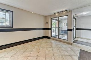 Photo 23: 407 611 8 Avenue NE in Calgary: Renfrew Apartment for sale : MLS®# A1121904