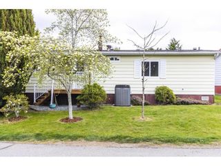 Photo 18: 186 3665 244 Street in Langley: Otter District Manufactured Home for sale : MLS®# R2750518