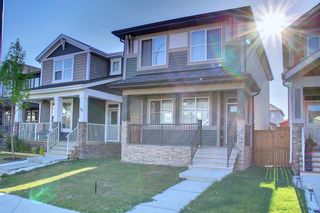 Photo 49: 41 Legacy Glen Row SE in Calgary: Legacy Detached for sale : MLS®# A2003471