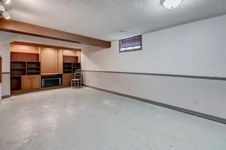Photo 20: 4 Bermuda Close NW in Calgary: Beddington Heights Detached for sale : MLS®# A1245273