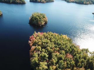 Photo 4: Lot D Back Lake Road in Upper Ohio: 407-Shelburne County Vacant Land for sale (South Shore)  : MLS®# 202401784