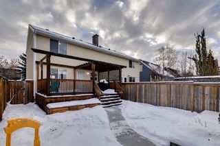 Photo 29: 4669 20th Street SW in Calgary: Garrison Woods Semi Detached (Half Duplex) for sale : MLS®# A2010448