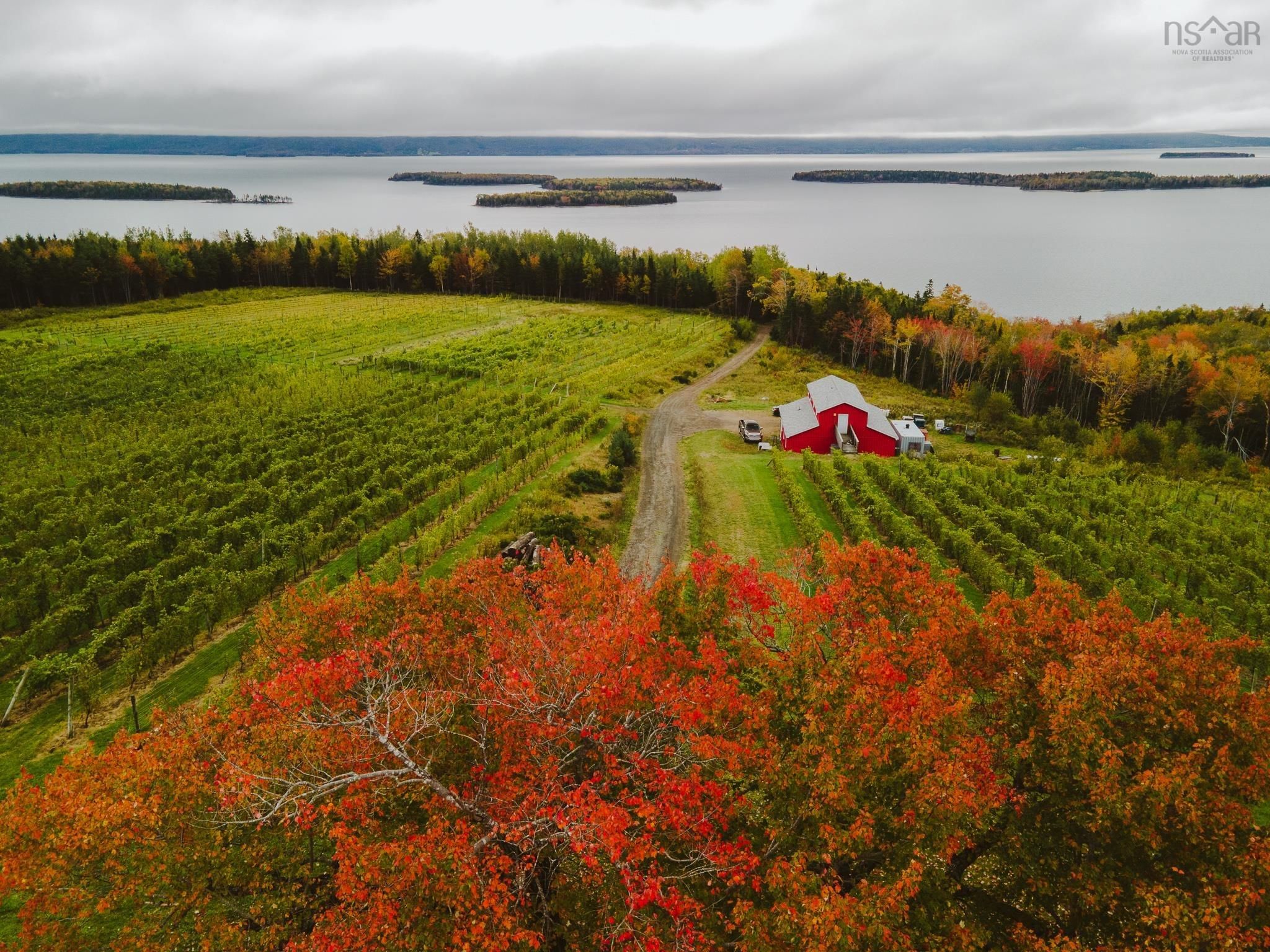 Main Photo: 5349 Marble Mountain Road in Marble Mountain: 306-Inverness County / Inverness Farm for sale (Highland Region)  : MLS®# 202225610