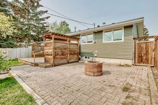 Photo 34: 9960 Warren Road SE in Calgary: Willow Park Detached for sale : MLS®# A2050383