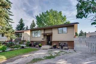 Photo 26: 644 RADCLIFFE Road SE in Calgary: Albert Park/Radisson Heights Detached for sale : MLS®# A1025632
