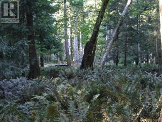 Photo 3: 1394/1400 VANCOUVER BLVD in Savary Island: Vacant Land for sale : MLS®# 17605