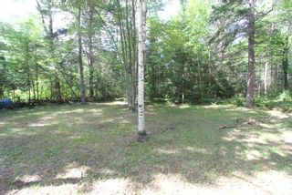 Photo 6: 300 Pinery Road in Kawartha Lakes: Rural Somerville Property for sale : MLS®# X4840235