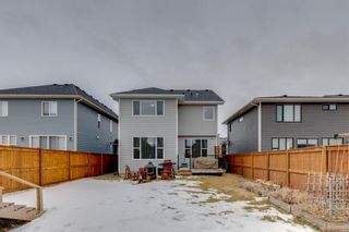 Photo 33: 28 Cranbrook Circle SE in Calgary: Cranston Detached for sale : MLS®# A1173351