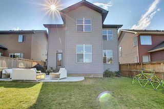Photo 49: 228 COOPERS Hill SW: Airdrie Detached for sale : MLS®# A1019535