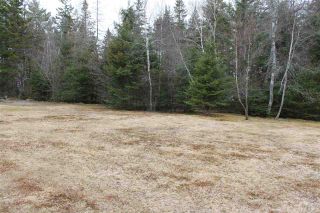 Photo 6: Lot 4 Miller Road in Devon: 30-Waverley, Fall River, Oakfield Vacant Land for sale (Halifax-Dartmouth)  : MLS®# 202007244