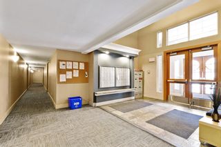 Photo 20: 302 25 Richard Place SW in Calgary: Lincoln Park Apartment for sale : MLS®# A1244947