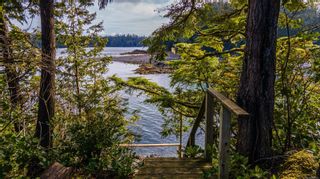 Photo 4: 863 Elina Rd in Ucluelet: PA Ucluelet Land for sale (Port Alberni)  : MLS®# 870302